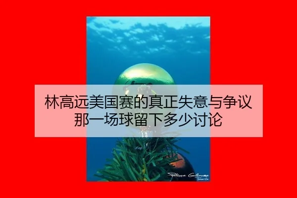 林高远美国赛的真正失意与争议 那一场球留下多少讨论
